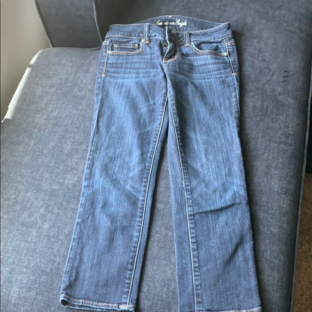 American Eagle Artist Cropped Jeans